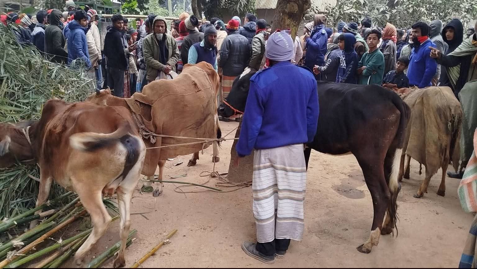 পীরগঞ্জে জনতা – পুলিশের যৌথ অভিযান । ৪টি চোরাই গরুসহ গরুচোর আটক ।