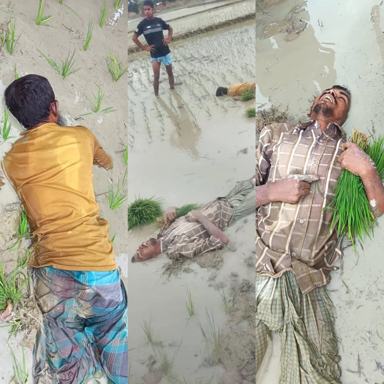 ফটিকছড়িতে ছিঁড়ে পড়া বিদ্যুতের তারে দুই কৃষকের মৃত্যু